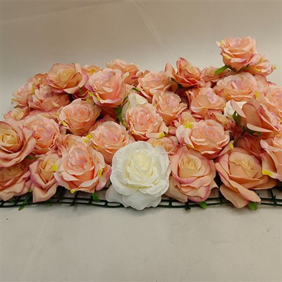 फूलों की दीवार की व्यवस्था